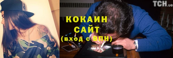 ГАЛЛЮЦИНОГЕННЫЕ ГРИБЫ Аркадак