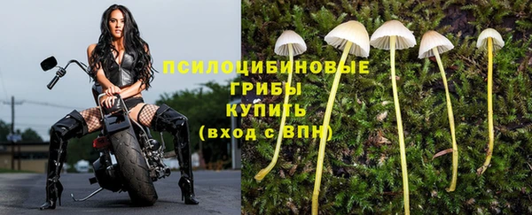 МДПВ Новодвинск