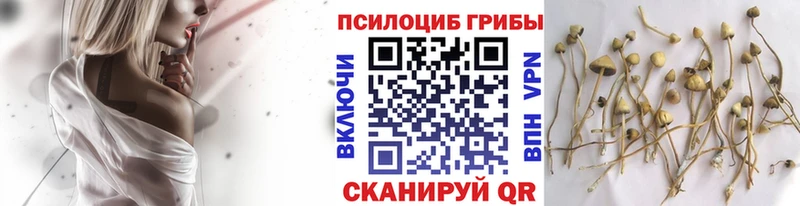 кракен ONION  даркнет как зайти  Галлюциногенные грибы ЛСД  Судак 